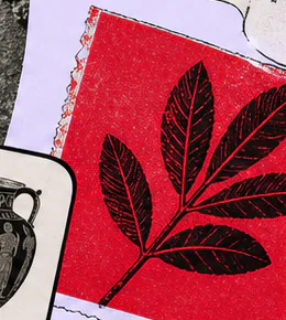 Paper time machine Collection in practice