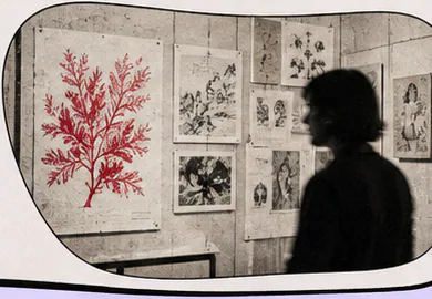 Paper time machine Collection work in context