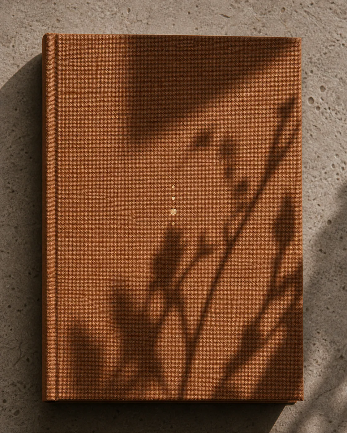 Rust-coloured Field Notes journal in sunlight