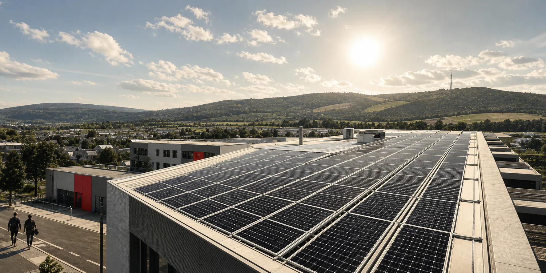 Solar panels catching low morning light