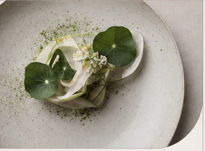 Seasonal plated dish with herbs and a delicate sauce