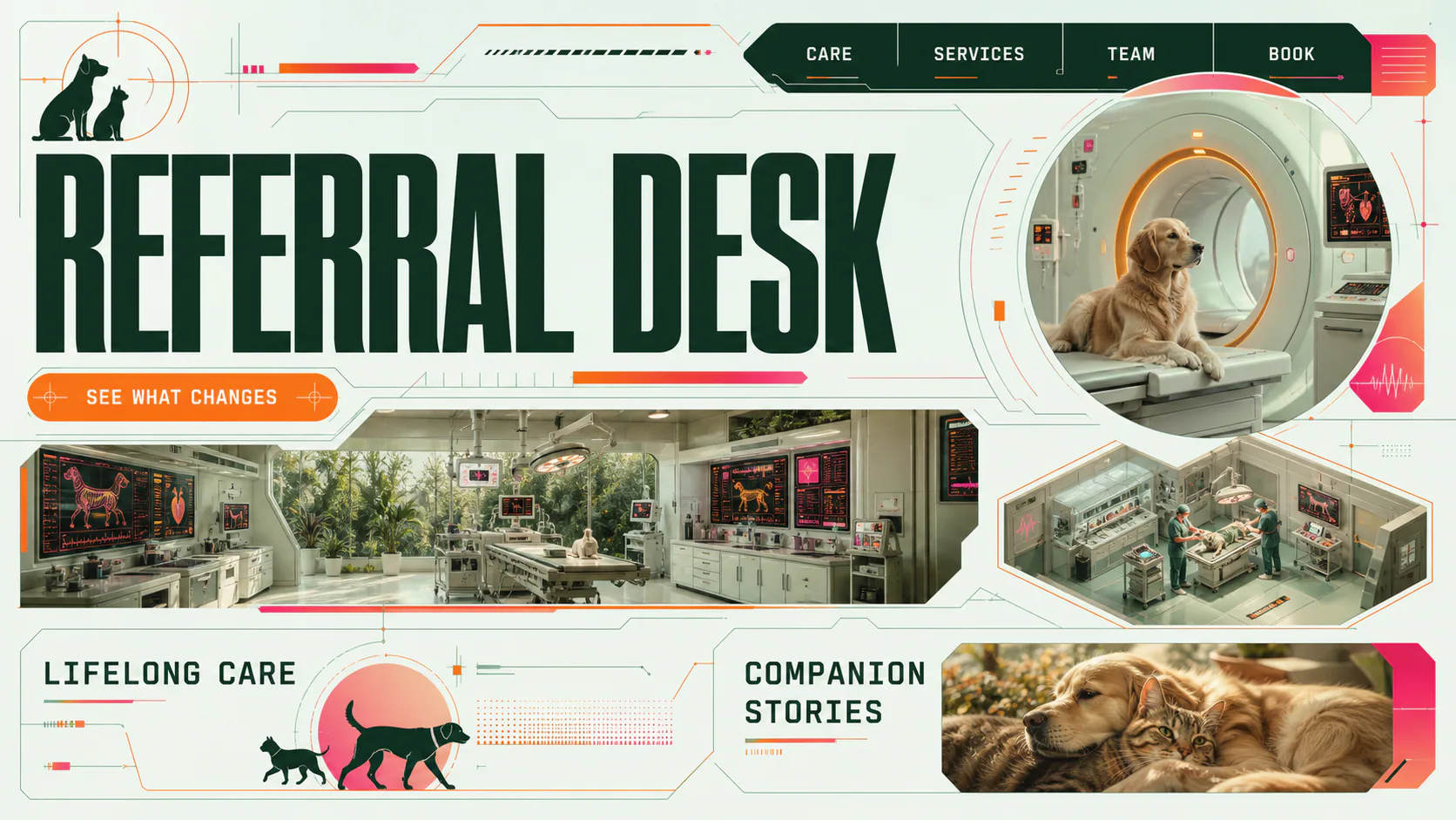 A veterinary referral suite with a dog prepared for advanced imaging, surrounded by diagnostic and surgical care scenes.